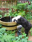 Filename : bucket_pup.JPG
Filesize : 223KB
Dimensions : 1050x1400
Date added : Oct 11, 2006 bucket_pup.JPG