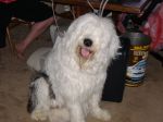 2006_0419Image0004.JPG