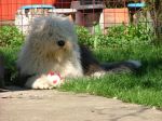 DSCF1007.JPG