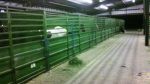 2010-09-20_00-31-07_835.jpg