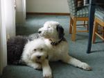 DSC00132.JPG