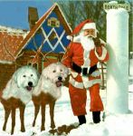 Santa-Dogs05.jpg
