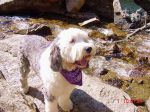 trail ridge 4.JPG
