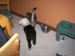 060829-04a.jpg