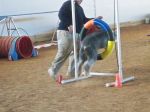 100_1059a.jpg