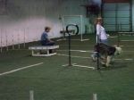 100_1970a.jpg
