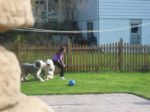100_2462a.jpg