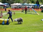 100_2474a.jpg