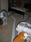 100_2674a.jpg
