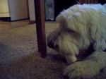 100_3417a.jpg