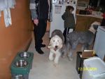101_0039a.jpg