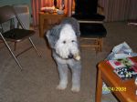 101_0047a.jpg