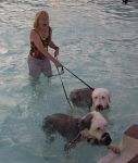 swim3.jpg