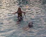 swim4.jpg