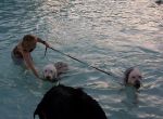 swim6.jpg