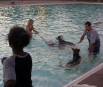 swim8.jpg