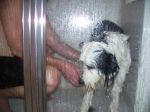 Bathing George.jpg