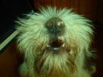 George mouth.jpg
