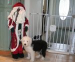 Duch and santa.jpg