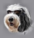 Winston the dude.jpg