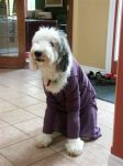 Sweater1.JPG
