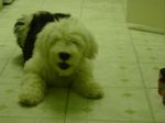 Picture 426.jpg