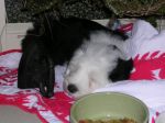 DSCN0455.JPG
