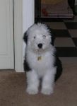 DSCN0560.JPG