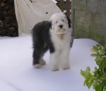 DSCN0734.JPG