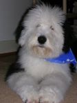 Wilson 21 wks 3.JPG