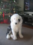 Pictures_Jan4 009.jpg