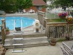 DSC00630.JPG