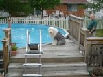 DSC00632.JPG