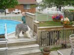 DSC00634.JPG