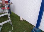 0907 051.JPG