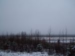 fbx2007 048.JPG