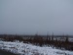 fbx2007 049.JPG