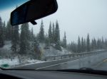 fbx2007 053.JPG