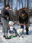 laurel and roy with pups.jpg