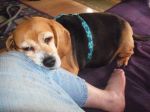 mostly Gertie 016.JPG