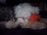nov2007 060.JPG