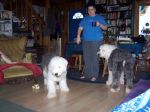 puppy-2-_68.jpg