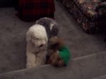 xmas 2007 019.JPG