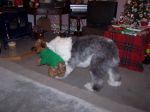 xmas 2007 026.JPG