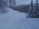 xmas 2011 and snow 057.JPG