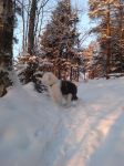 2010-12-24 001.JPG