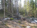 2011-04-20 021.JPG