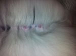 2011-12-26 007 - h.s.~0.jpg