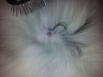 2011-12-28 006 - v.s..jpg