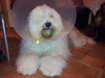 20120203_180440.jpg